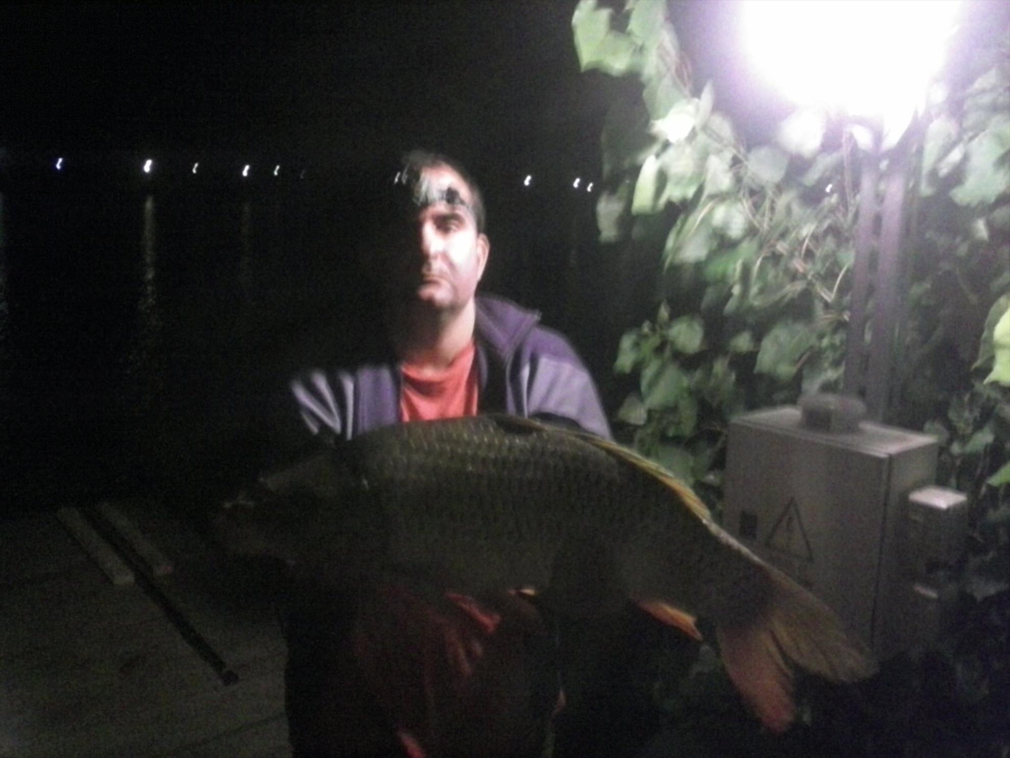 Pleasa 2013 - crap comun 6,5 kg